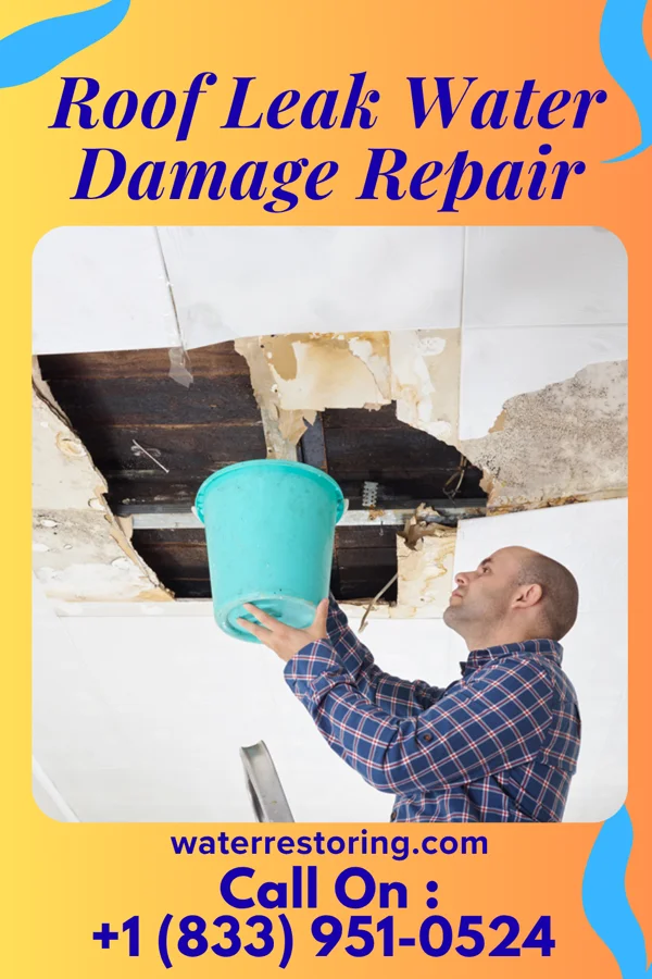 Roof Leak Water Damage Repair in Cleveland, WI