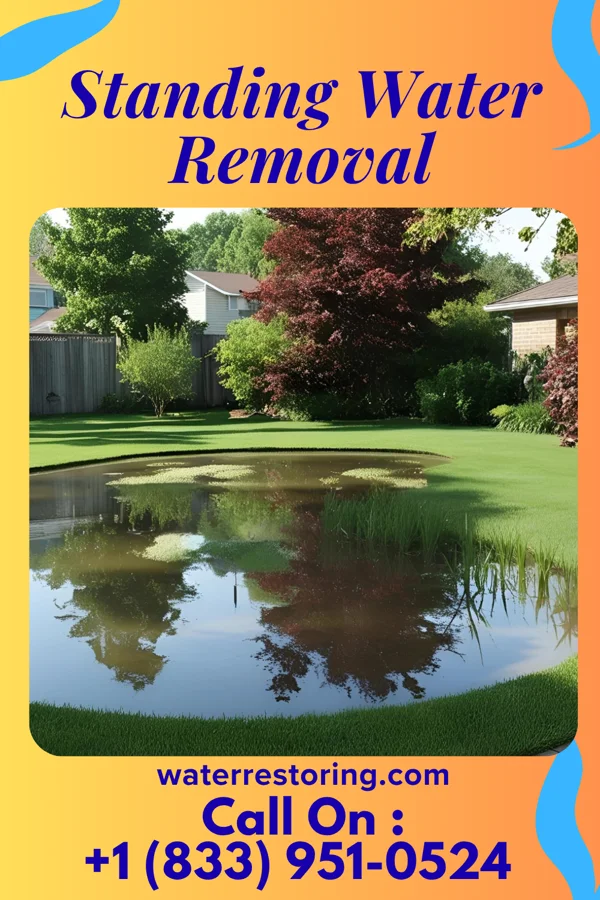 Standing Water Removal in Cleveland, WI